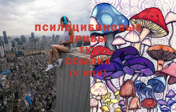 тгк Сосновка