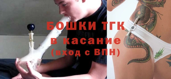 СК Сосновый Бор