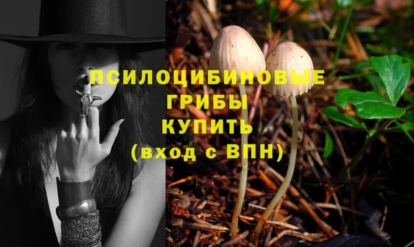 тгк Сосновка