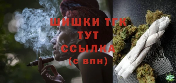 СК Сосновый Бор