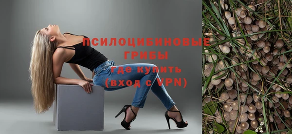 СК Сосновый Бор
