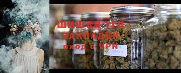 СК Сосновый Бор